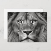 Carte Postale Lion (Devant / Derrière)