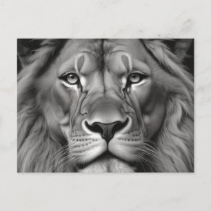 Carte Postale Lion