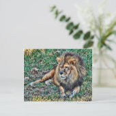 Carte Postale Lion (Debout devant)