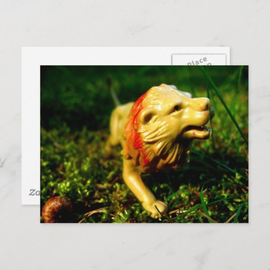 Carte Postale lion (Devant / Derrière)