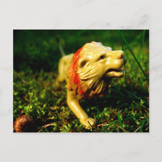 Carte Postale lion (Devant)