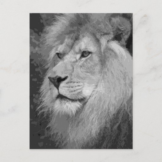 Carte Postale Lion (Devant)