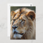 Carte Postale Lion (Devant / Derrière)