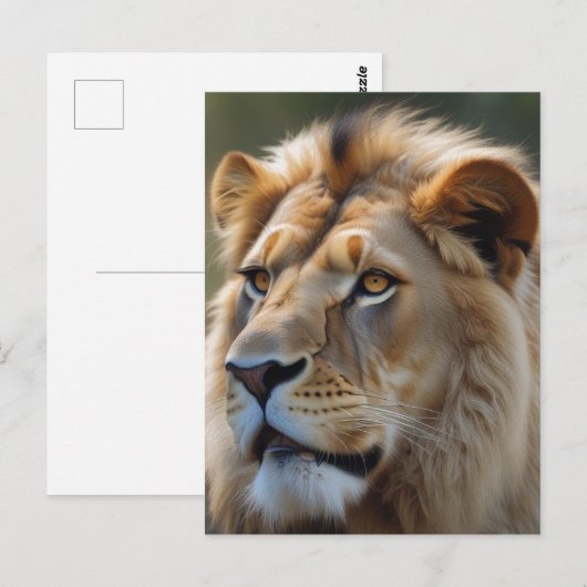 Carte Postale Lion (Devant / Derrière)