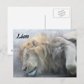 Carte Postale Lion (Devant / Derrière)