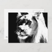 Carte Postale Lion (Devant / Derrière)