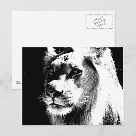 Carte Postale Lion (Devant / Derrière)