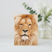 Carte Postale Lion (Debout devant)