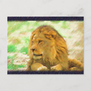 Carte postale Lion