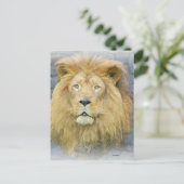 Carte Postale lion (Debout devant)