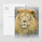 Carte Postale lion (Devant / Derrière)