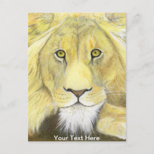 Carte Postale Lion