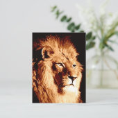 Carte Postale Lion (Debout devant)