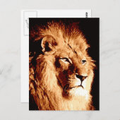 Carte Postale Lion (Devant / Derrière)