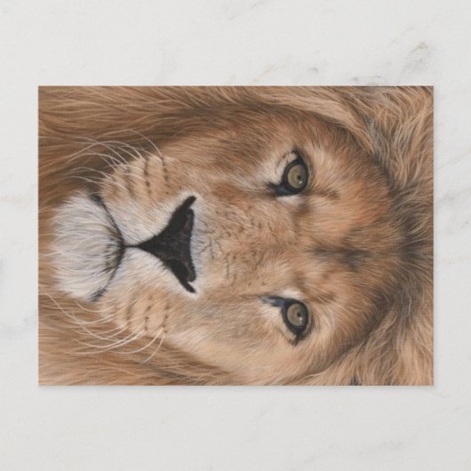 Carte postale Lion (Devant)