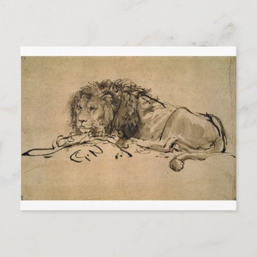 Carte Postale Lion au repos par Rembrandt (Devant)