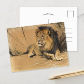 Carte Postale Lion au repos | Wilhelm Kuhnert