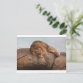Carte Postale Lion Awsome (Debout devant)