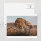 Carte Postale Lion Awsome (Devant / Derrière)