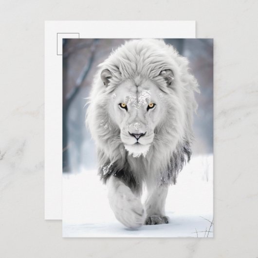 Carte Postale Lion blanc majestueux en hiver Wonderland Design (Devant / Derrière)