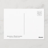 Carte Postale Lion [Carte postale] (Dos)