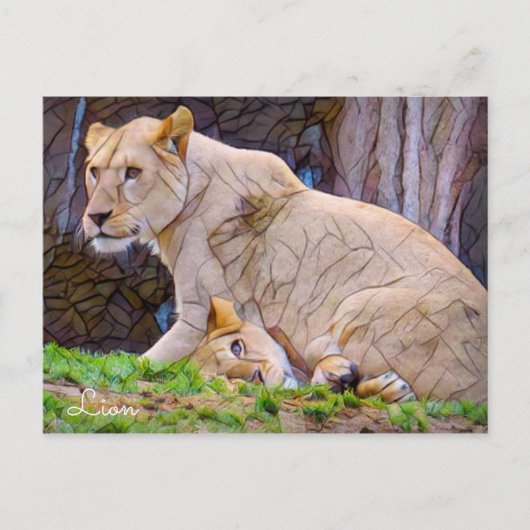 Carte Postale Lion [Carte postale] (Devant)