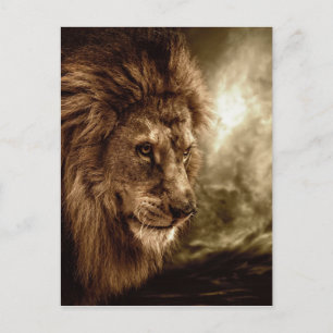 Carte Postale Lion contre ciel orageux