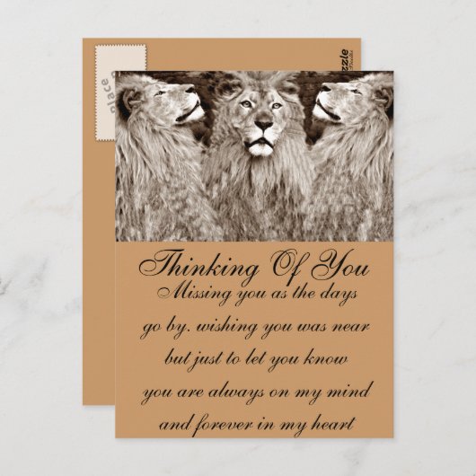 Carte Postale Lion, Courage, Puissance&Force_ (Devant / Derrière)