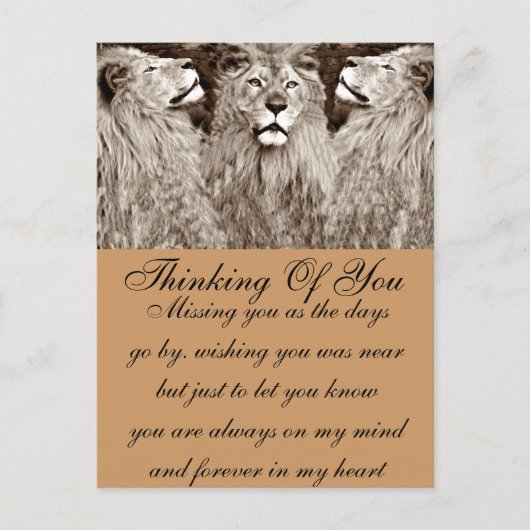 Carte Postale Lion, Courage, Puissance&Force_ (Devant)