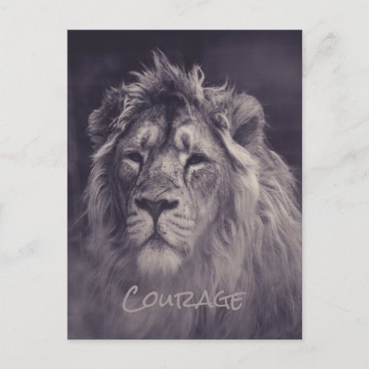 Carte Postale Lion Courage Roi de la Jungle (Devant)