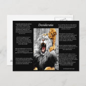 Carte Postale Lion Cub (Devant / Derrière)