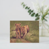 Carte Postale Lion Cubs (Debout devant)