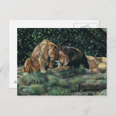 Carte postale Lion Cudle (Devant / Derrière)