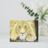 Carte Postale Lion d'Afrique (Debout devant)