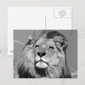 Carte Postale Lion d'Afrique noir et blanc (Devant / Derrière)