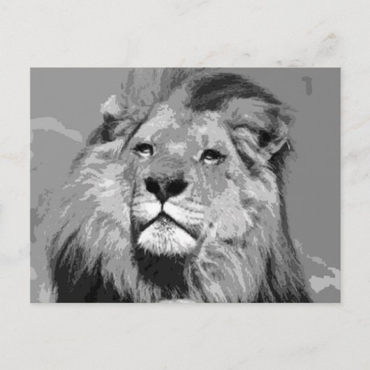 Carte Postale Lion d'Afrique noir et blanc (Devant)