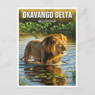 Carte Postale Lion dans le delta de l'Okavango Botswana