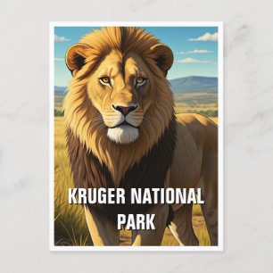 Carte Postale Lion dans le Parc National de Kruger Afrique du Su