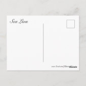 Carte Postale Lion de mer (Dos)