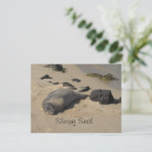 Carte Postale Lion de mer au repos (Debout devant)