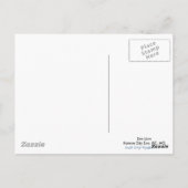 Carte Postale Lion de mer ; Dans la nage des objets ! (Dos)