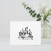 Carte Postale Lion de mer de Steller (Debout devant)