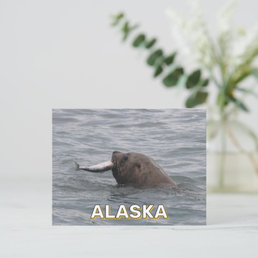 Carte Postale Lion de mer mangeant un saumon en Alaska (Debout devant)