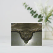 Carte Postale lion de montagne (Debout devant)