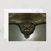 Carte Postale lion de montagne (Devant / Derrière)