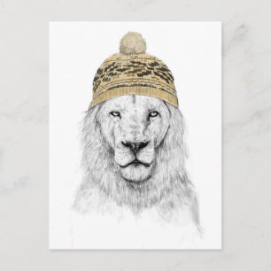 Carte Postale Lion d'hiver