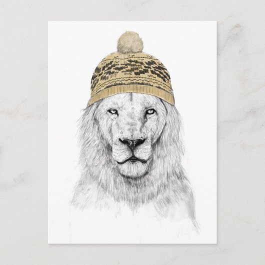 Carte Postale Lion d'hiver (Devant)