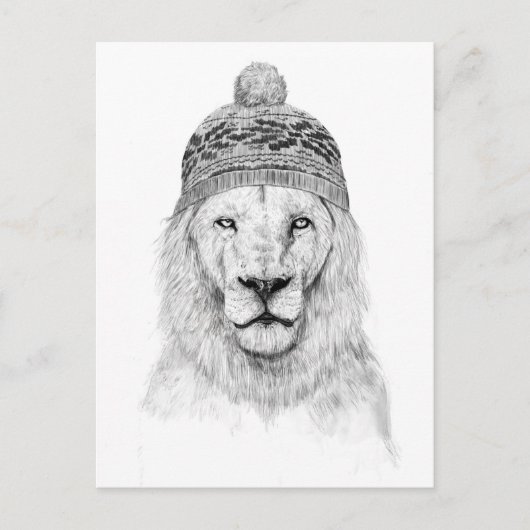 Carte Postale Lion d'hiver (bw) (Devant)