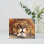 Carte Postale Lion dormant (Debout devant)