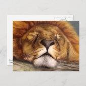 Carte Postale Lion dormant (Devant / Derrière)